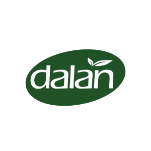 Dalan